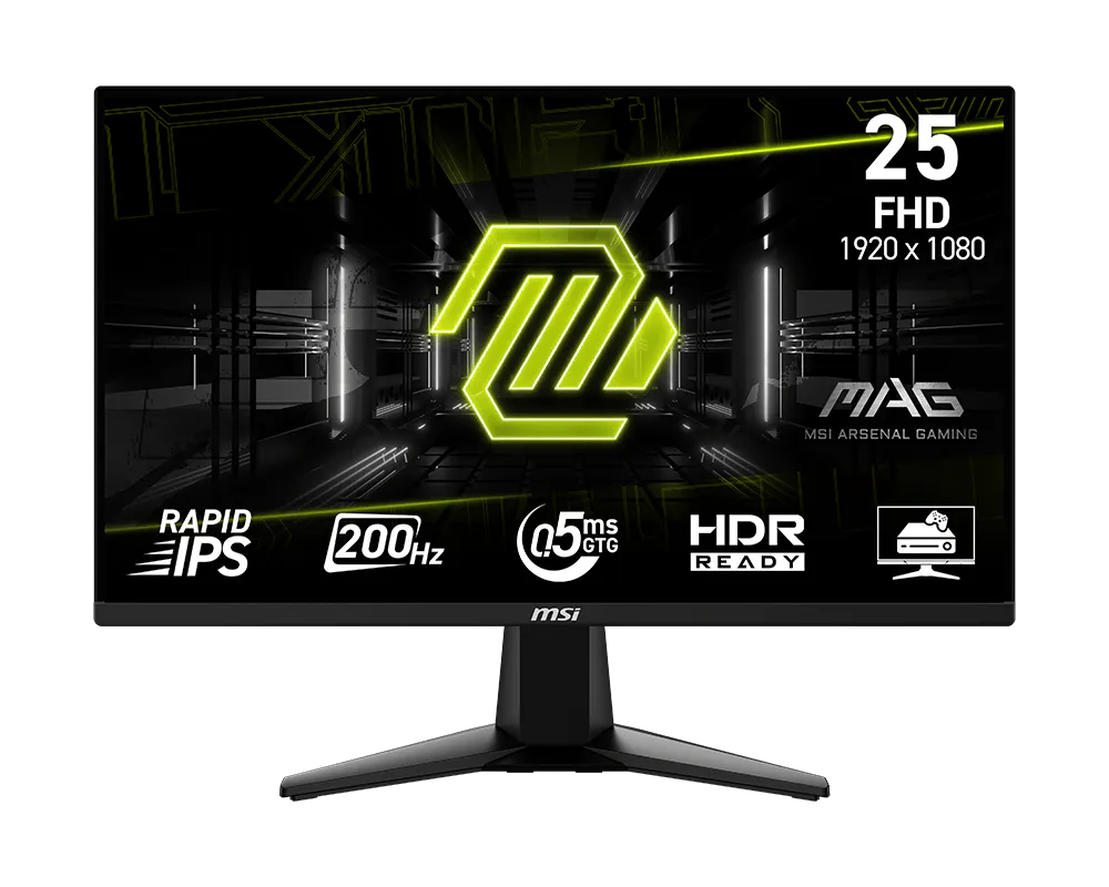 MSI MAG255F E20